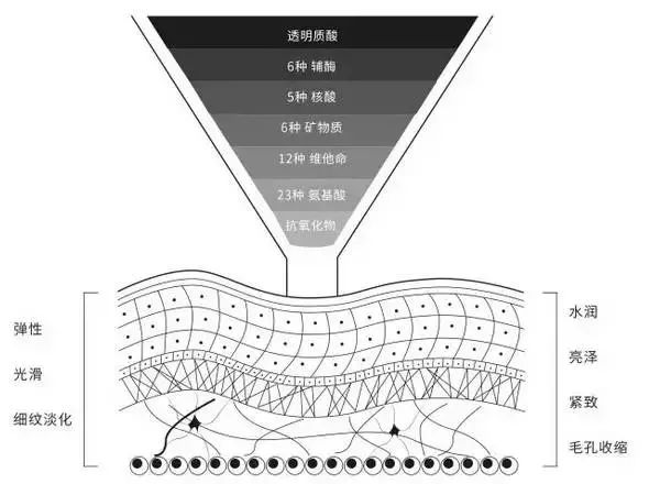 Why is Filorga so expensive? What is the difference between it and ordinary water light? : -4